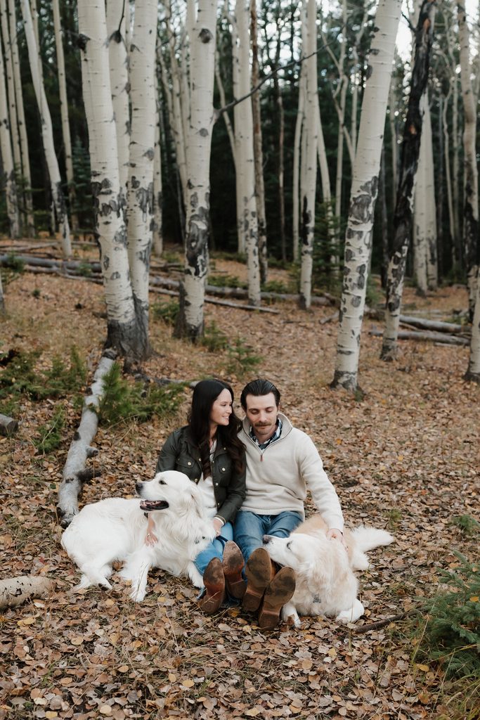 Colorado Engagement Session Locations Couple sitting with their two dogs among aspen trees during their Echo Lake Colorado engagement session